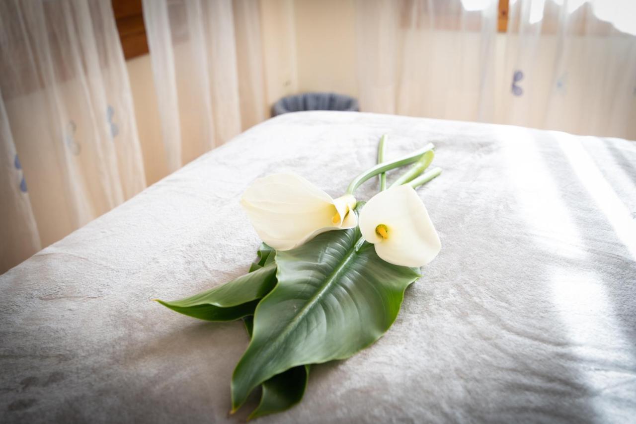 Apartamento Con Piscina * Gijon